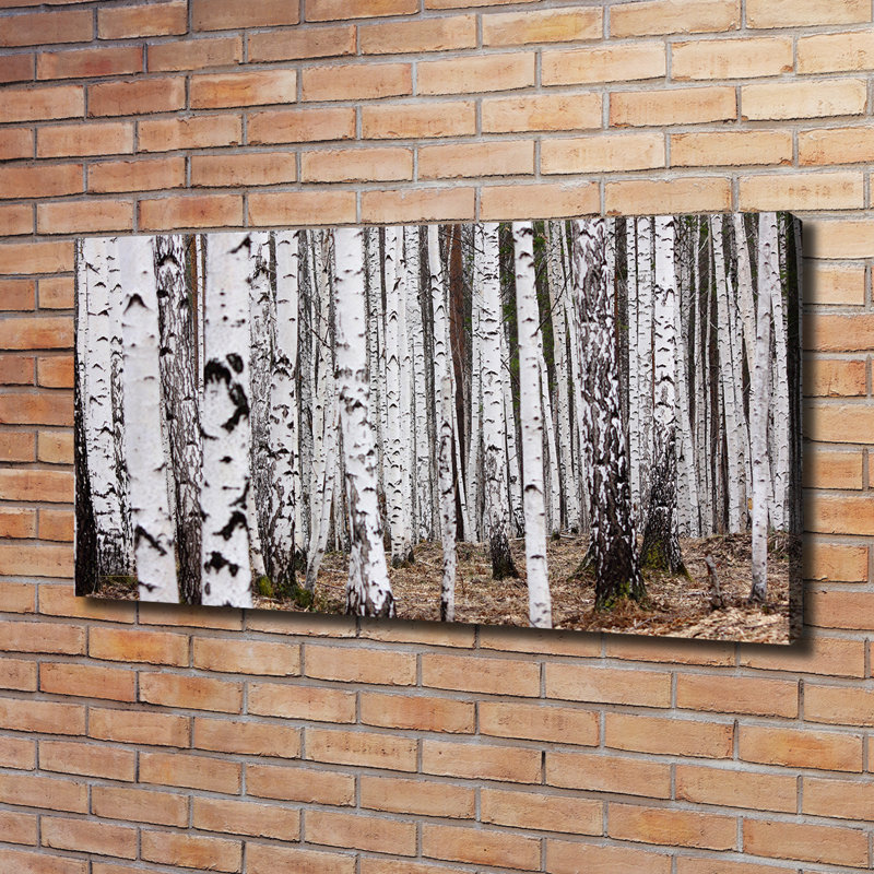Birch-tree - Wrapped Canvas Print