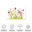 «Tulipa» sur une impression sur toile-98095317