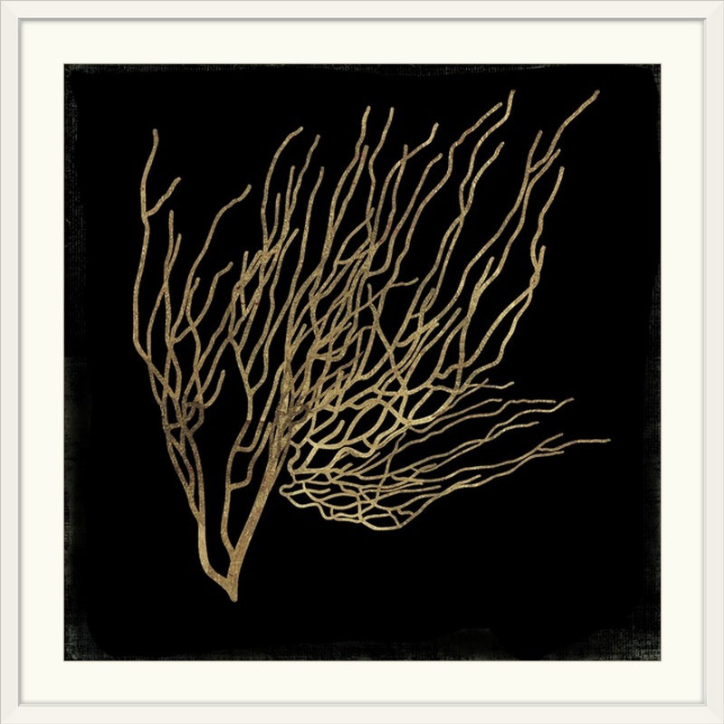 « corail i », impression, Cadre blanc, H 24 po x l 24 po x P 1 po