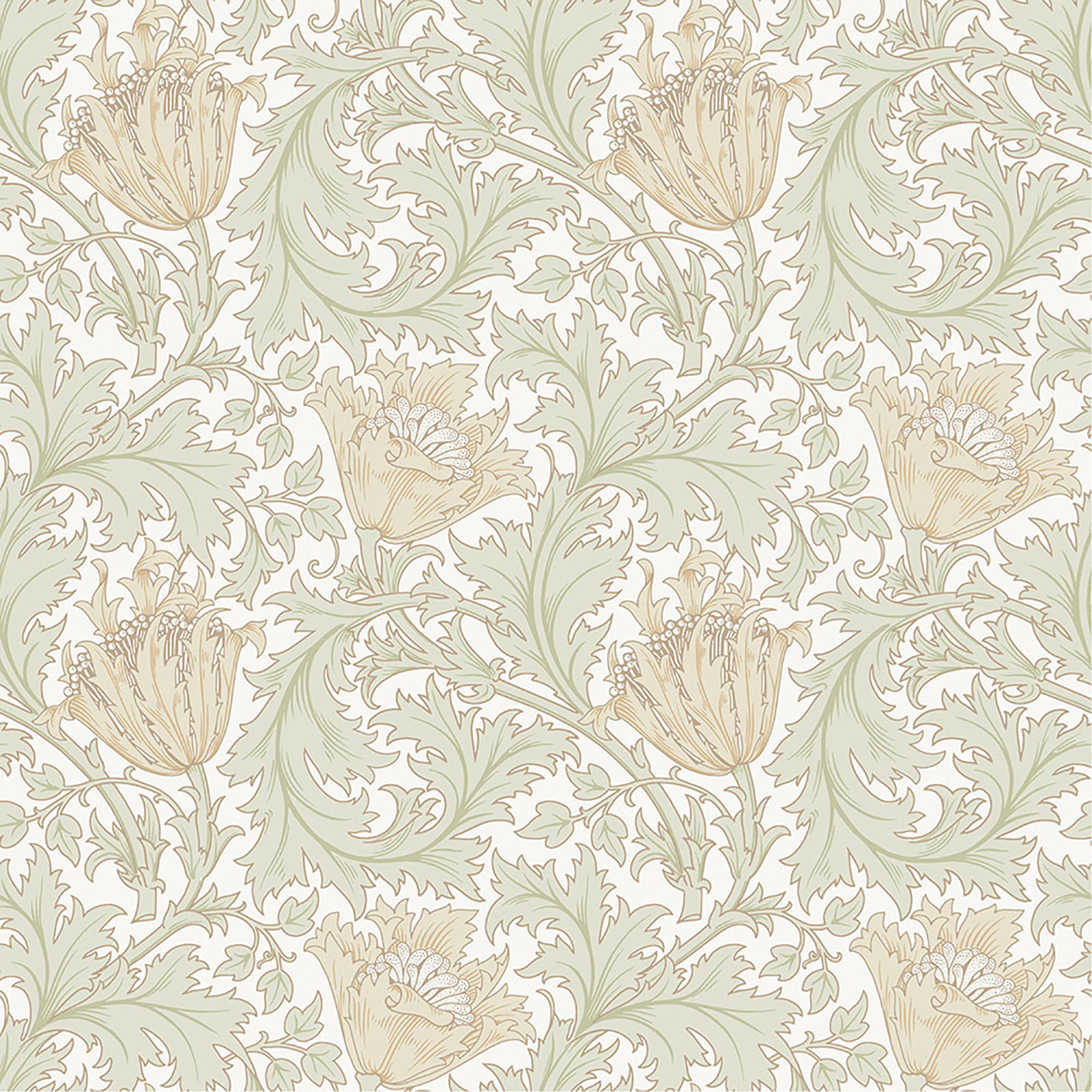 Anemone Floral Wallpaper, Light Green