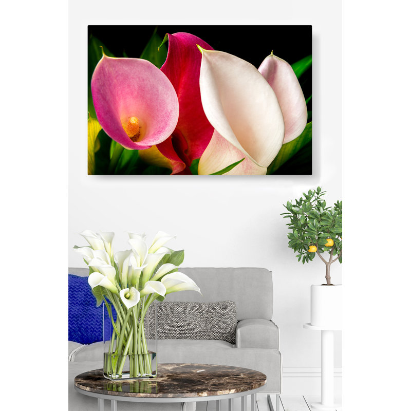 Kerriana Lillies in a Gaggle - reproduction de photo sur toile tendue, H 16 po x l 24 po x 1,5 po