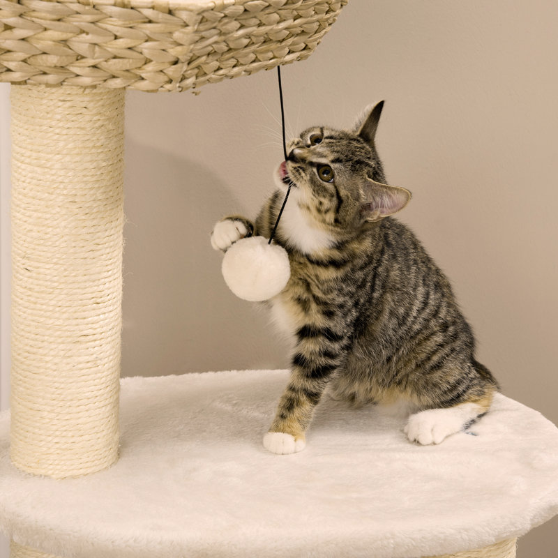 Versatile Cat Activity Center With Plush Comforts And Play Options