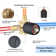 Shower Faucet with Rough-in Valve