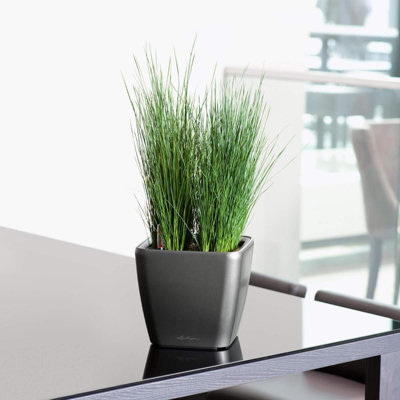 Quadro Premium Pot Planter