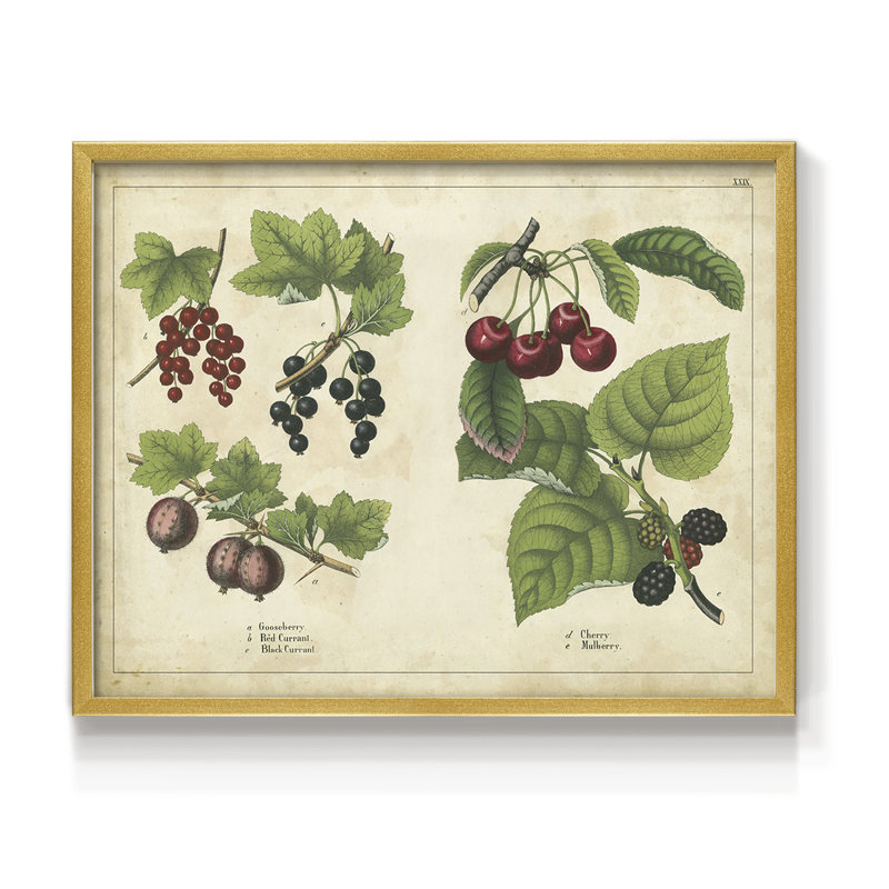 «Kitchen Fruits III», reproduction encadrée, H 11 po x l 14 po