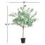 54.5'' Faux Eucalyptus Tree in Pot