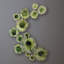 Demrof Lily Wall Décor-1919982979