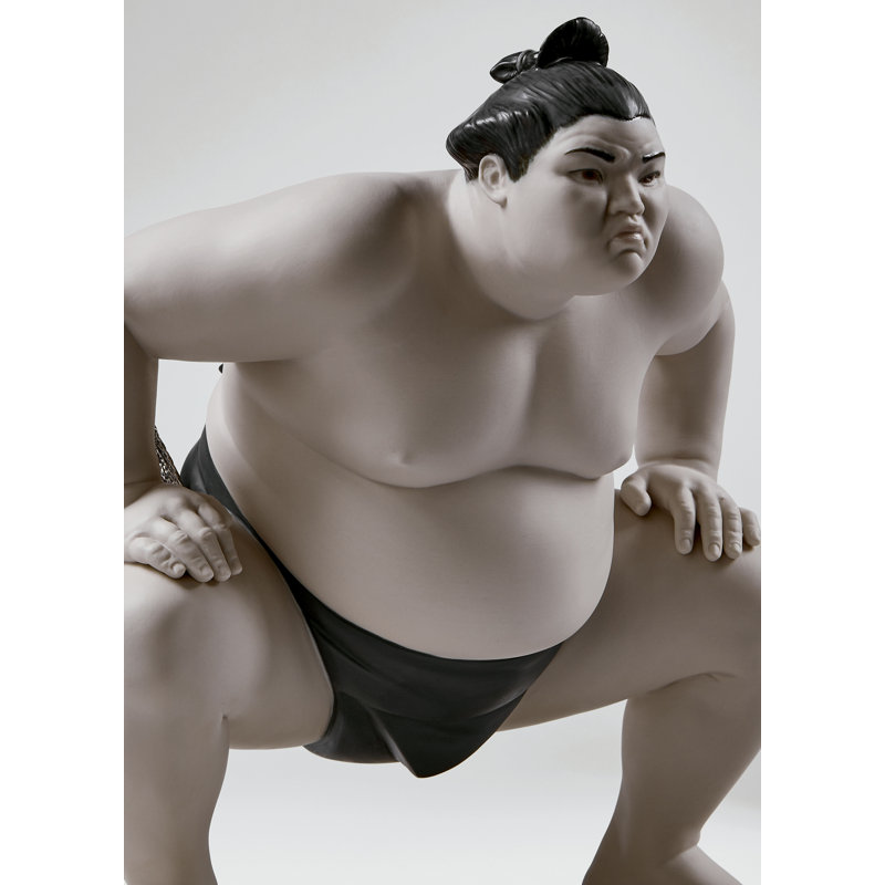 Sumo Fighter