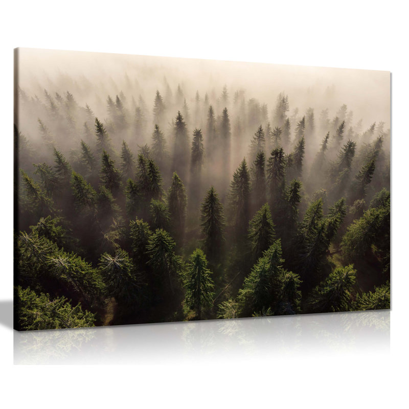 Misty Morning Forest Trees Aerial View - Wrapped Canvas Print, 41cm H x 61cm W