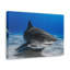 No Frame Print on Canvas-1050760000