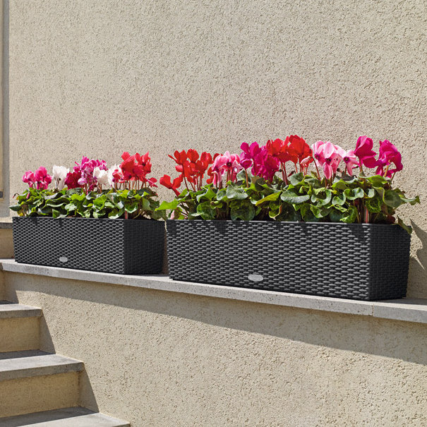 Balconera Window Box Planter, 19 cm H x 79 cm W x 19 cm D, Granite