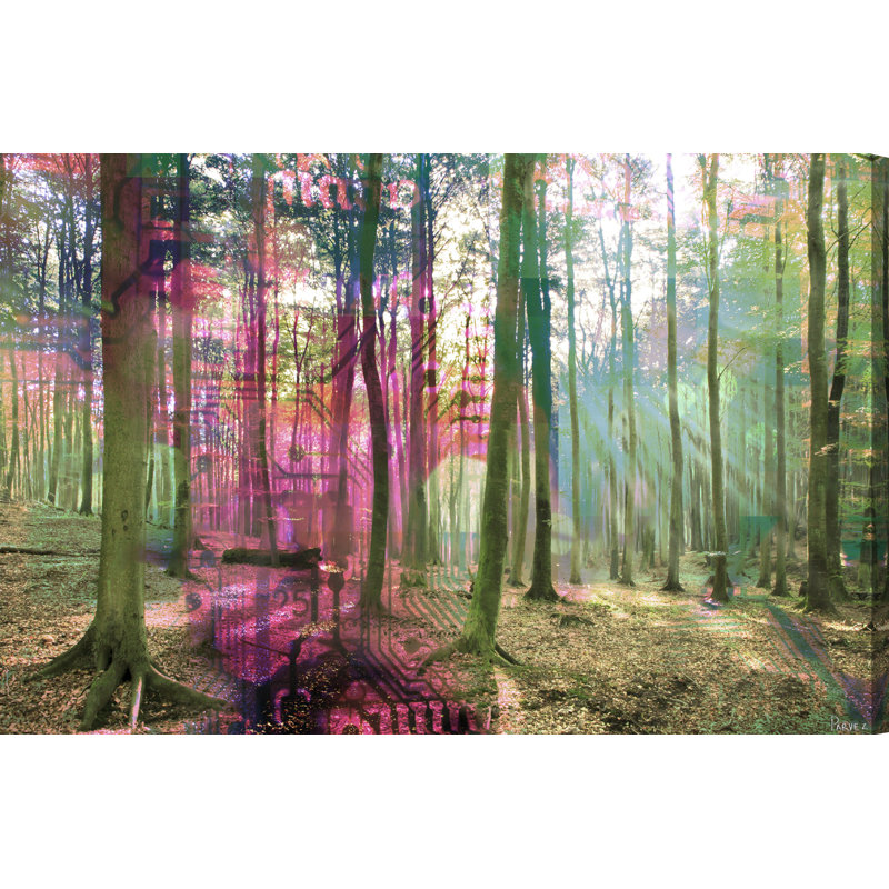 Parvez Taj - Wrapped Canvas Print, 51cm H x 76cm W x 4cm D