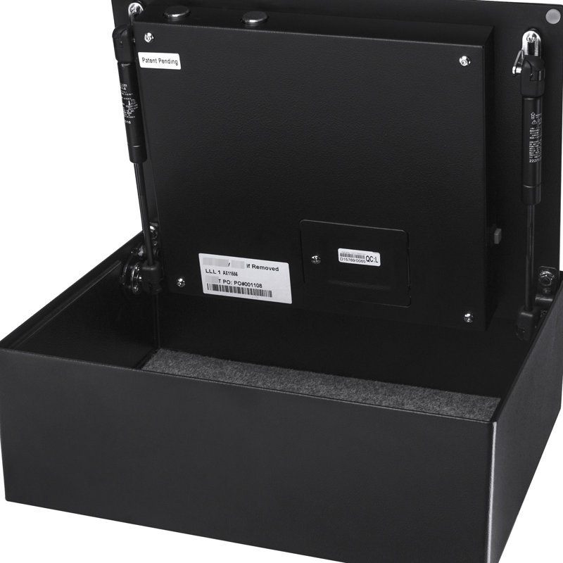 Coffre-fort biométrique 23,76 lb, capacité de 23 pi cu - noir 11,2 po Profond et sécuritaire