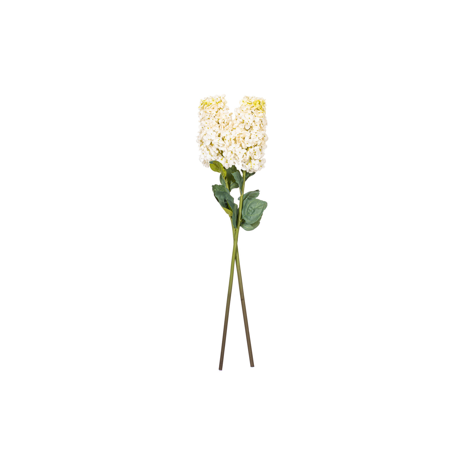 Hydrangea Stem, White