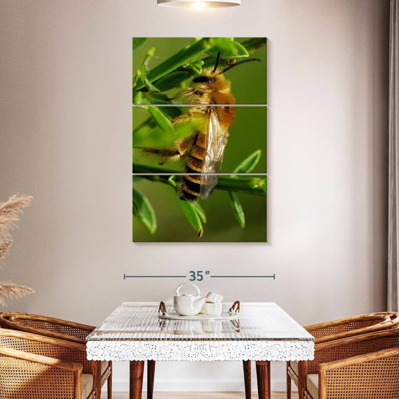 Brampt Bee Bee Bee, H 74 po x l 48 po