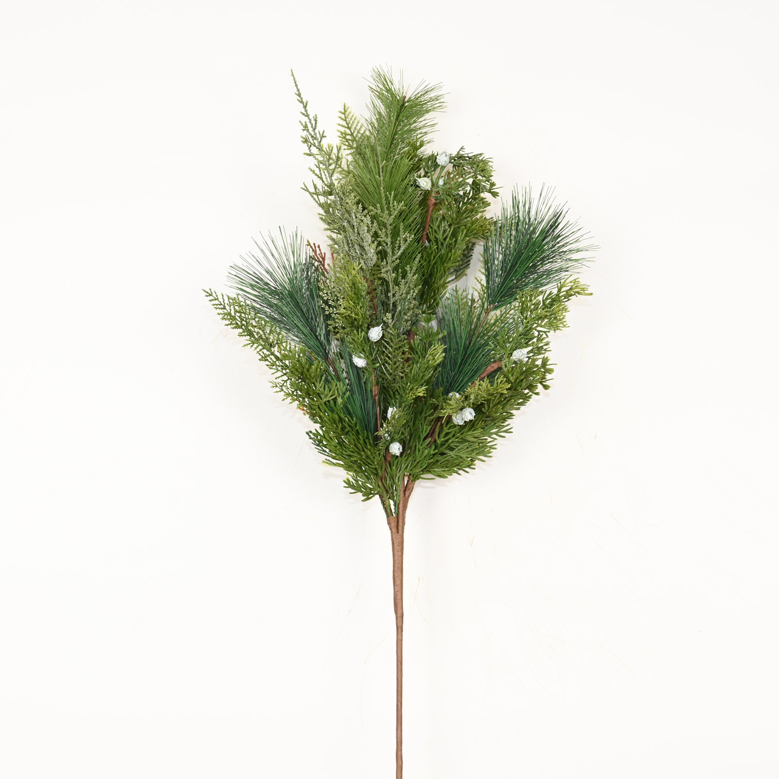 Cypress Pine Needle Stems