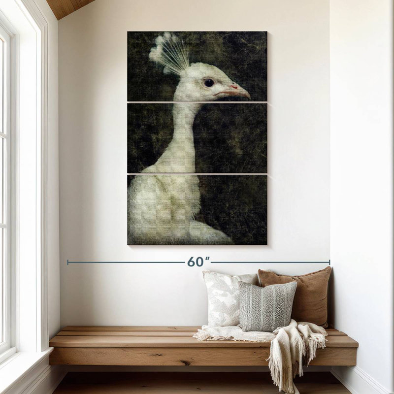 Paon blanc Brampt, H 50 po x l 32 po