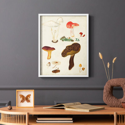 Reproduction encadrée de champignon Mushroom Species