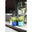 Jardinière moderne en céramique cyan avec drainage intégré, idéale pour les petites plantes, trou de drainage thermique, fleurs, herbes, verdure,-730794733