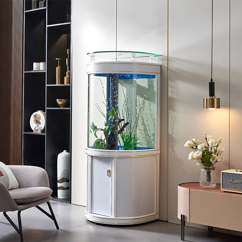 Aquarium 31,5 po, 42,27 gallons (H 58,27 po x l 31,5 po x P 19,69 po