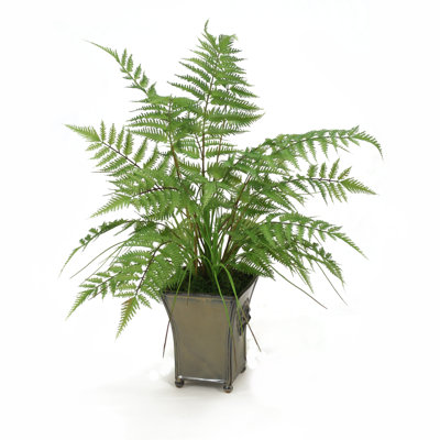 28'' Faux Fern Plant in Ceramic Planter