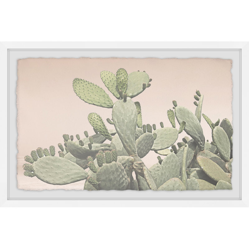 Cactus Bunch - Single Picture Frame Print, 61 cm H x 91 cm W x 4 cm D