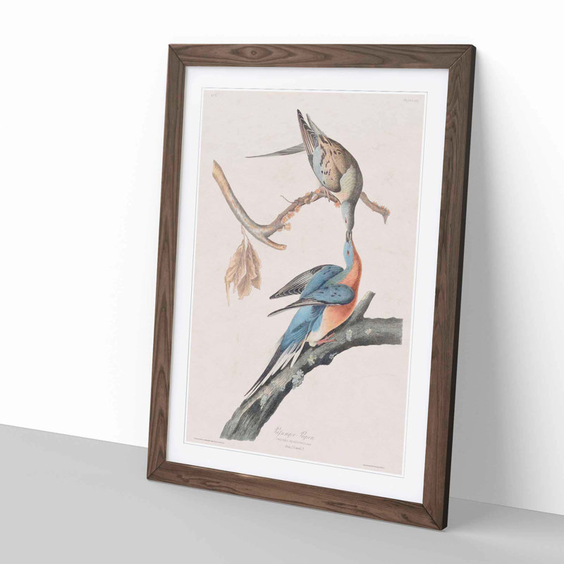 Passenger Pigeons by John Audubon - Picture Frame Painting Print, Walnut Framed, 36cm H x 27cm W x 2cm D