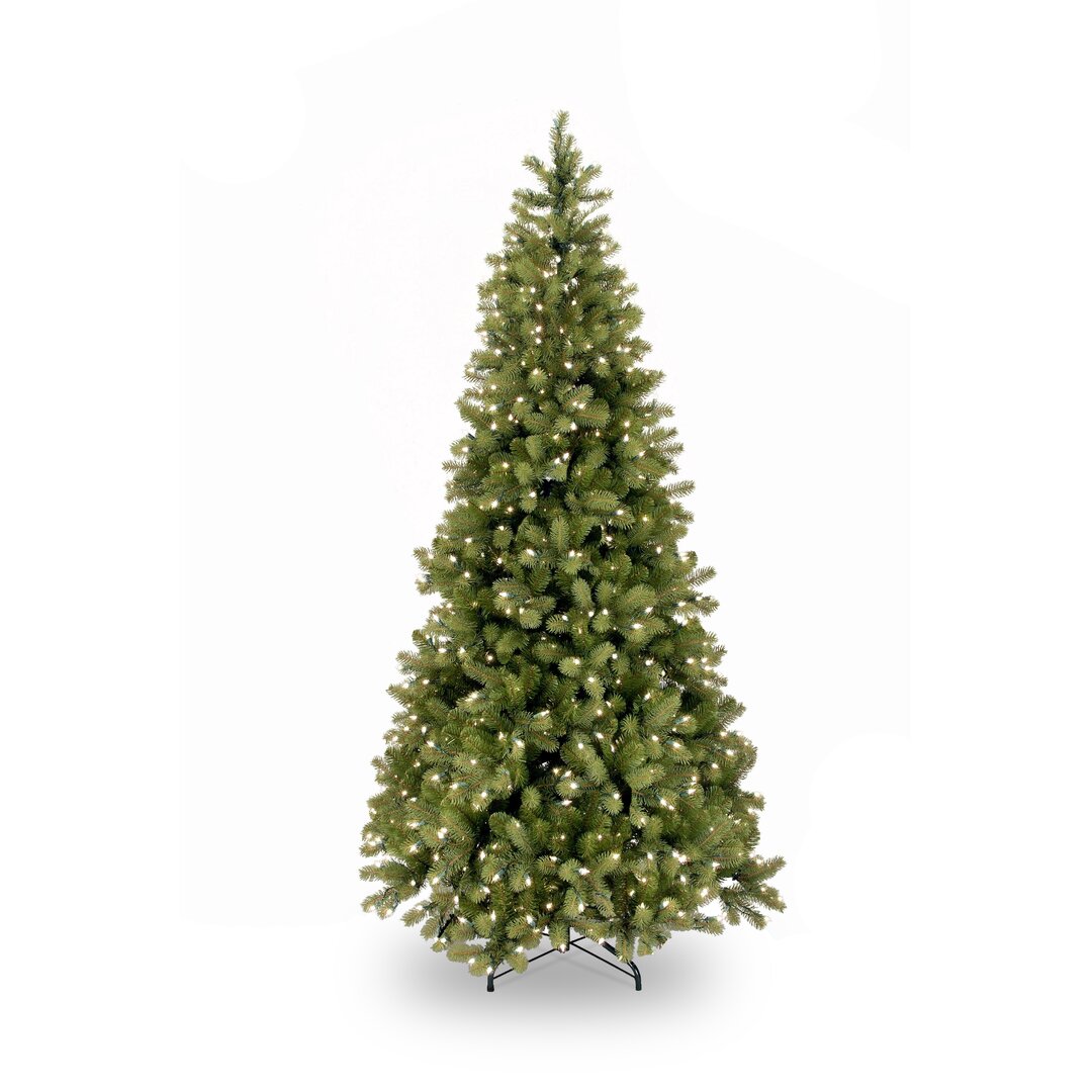 Künstlicher Weihnachtsbaum 244 cm Grün mit 650 LED-Leuchten und Ständer