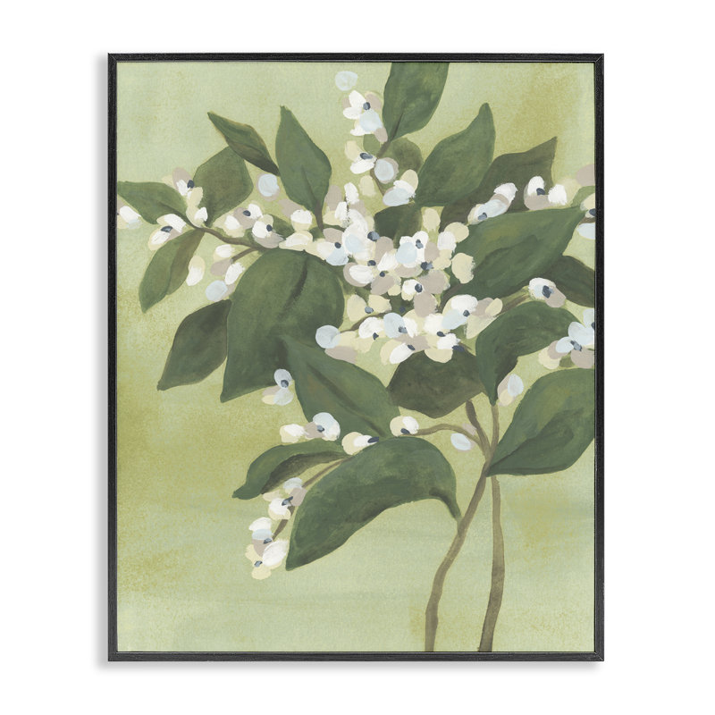 Giclée Verdant Branch Bloom, giclée par June Erica Vess, H 14 po x l 11 po, Giclée encadrée noir minuit