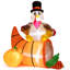 Thanksgiving Decoration
