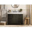 Meuble-lavabo simple 42 po_Traditional_VF60642-BS-20934088