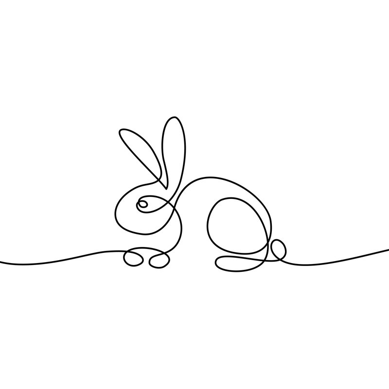 Lapin, H 20 po x l 30 po