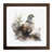 Walnut selected