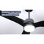 Ashuna 52'' Ceiling Fan with LED Lights