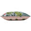 Indoor / Outdoor Multicolour Square Cushion Cover