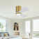 Apolino 42'' Ceiling Fan with LED Lights