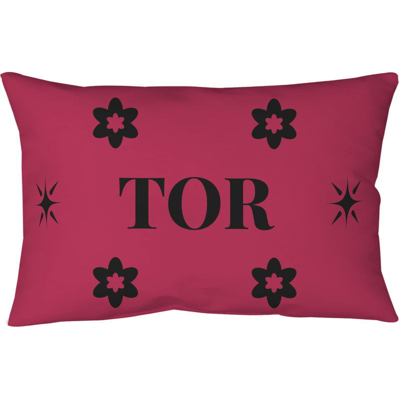 Oreiller en polyester croisé Toronto Basketball 20 po x 14 po, Rose/noir