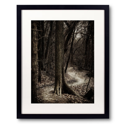Dark Winding Path Print by Scott Norris