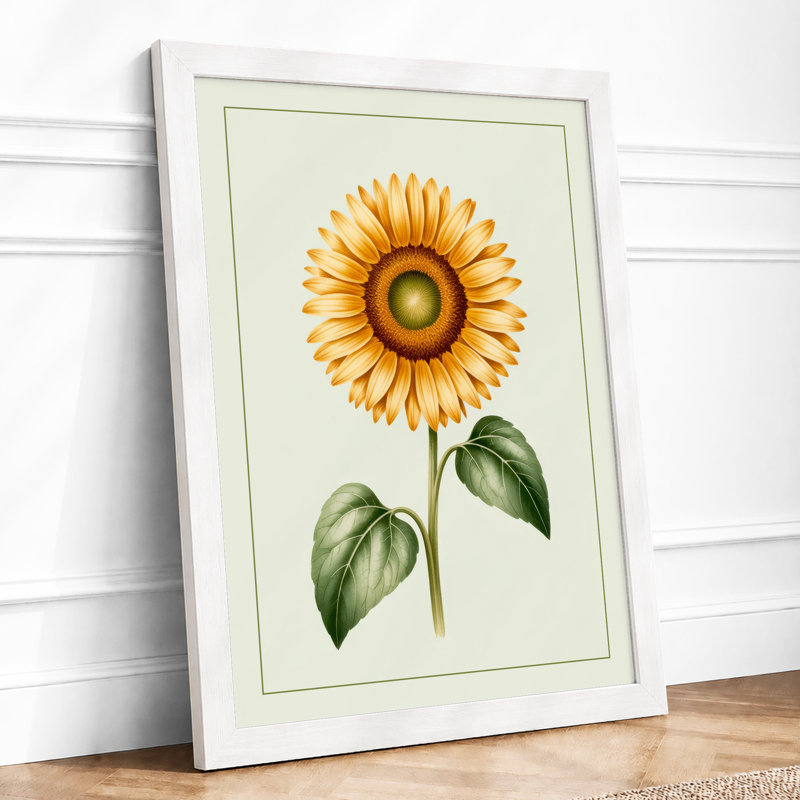Sunflower Study Botanical - Print, A2 - 59.4 x 42.0 cm, White