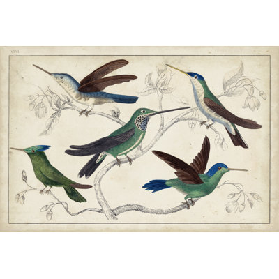Hummingbird Gathering I - Wrapped Canvas Painting