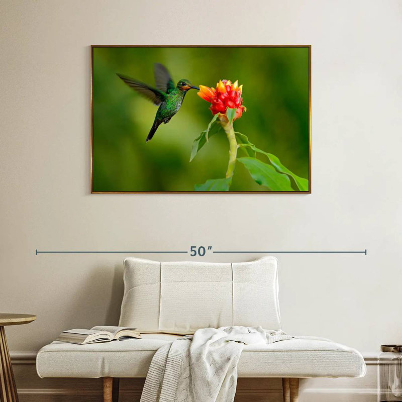 Fleur et colibri vert, Cadre flottant doré, 40 po x 27 po