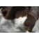 Abhinav Handmade Cowhide Chocolate/White Area Rug
