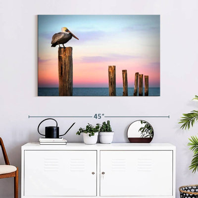 Brampt Fort Myers Pelican At Sunset