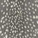 Elsberry Hand Tufted Wool Animal Print Indoor Rug