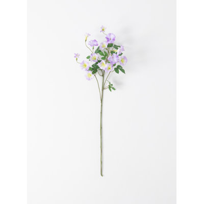 Morning Glory Arrangement
