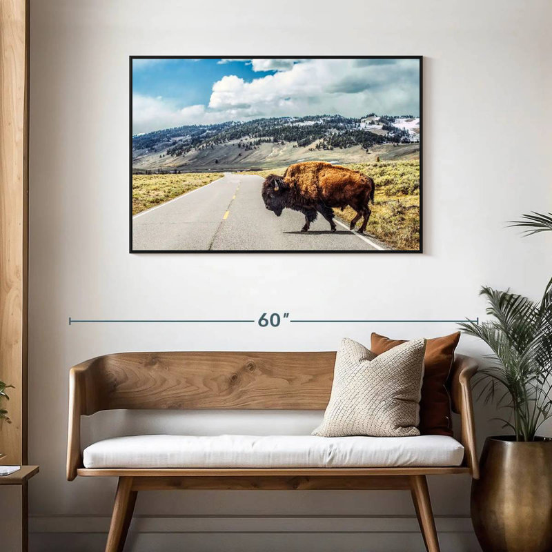 American Bison Crossing, Cadre flottant noir, 43 po x 29 po