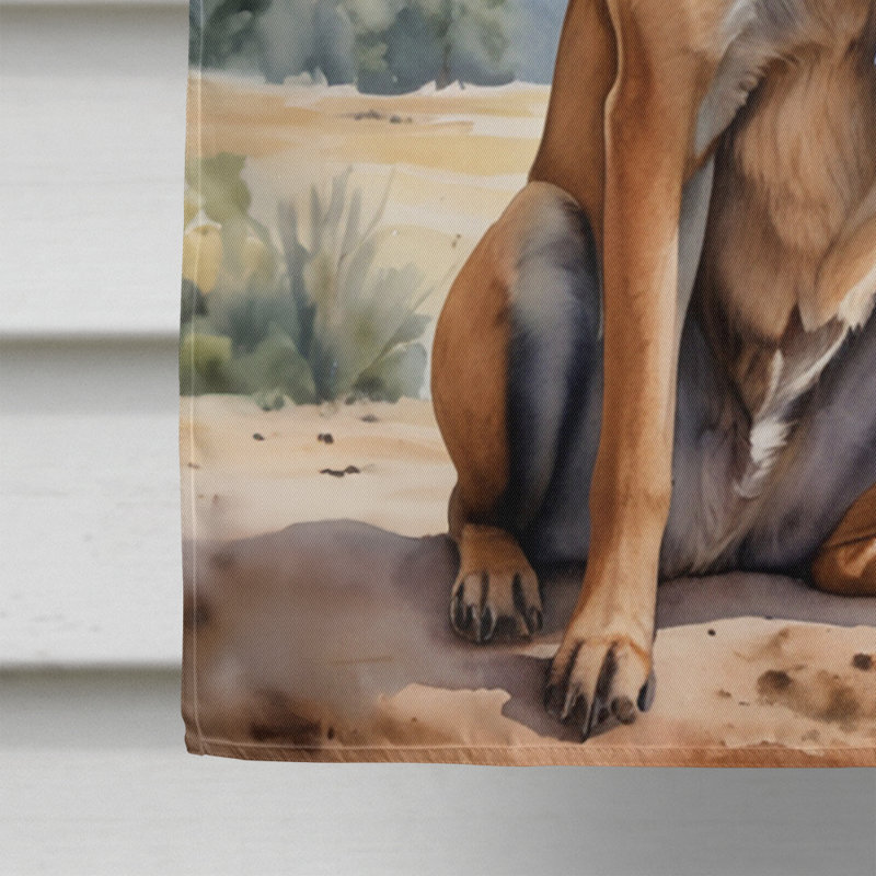 Drapeau Cowboy Welcome House, Malinois belge