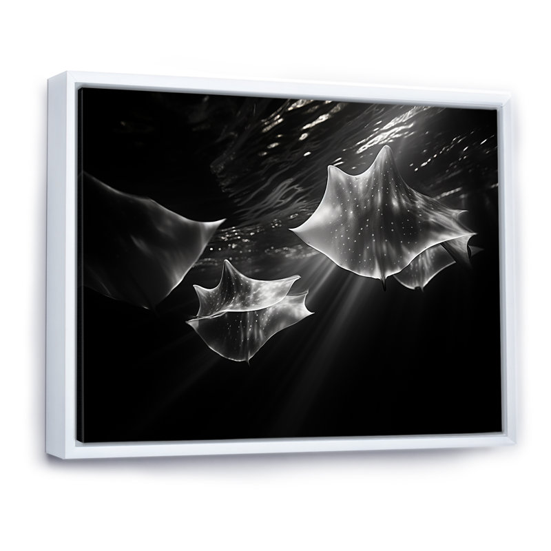 Under Water Abstract Manta Dance sur toile, H 34 po x l 44 po x P 1,5 po, Cadre flottant blanc