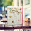 Cardboard Plants & Flowers Album