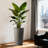 2 Pack Tall 21.7 In Planters For Outdoor Plants Modern Tall Square Planter Box Indoor Outdoor Porch Patio Flower Pot Modern Big Tapered Matte Tree Flower Pot For Garden, (Brown)-694533277